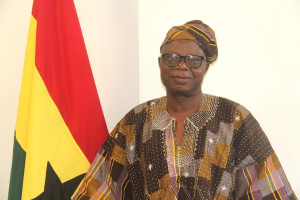 Hamidu Adakurugu Esq.